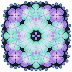 Flower two kaleidosdala