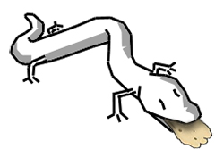 Olm